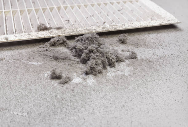 Best Best Air Duct Cleaning Company  in Quartzsite, AZ