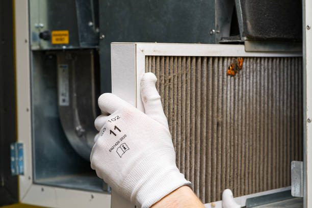 Best Affordable Duct Cleaning Services  in Quartzsite, AZ