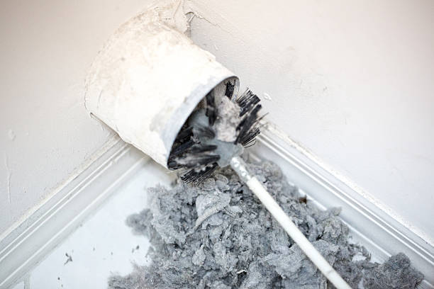 Air Duct Mold Removal in Quartzsite, AZ